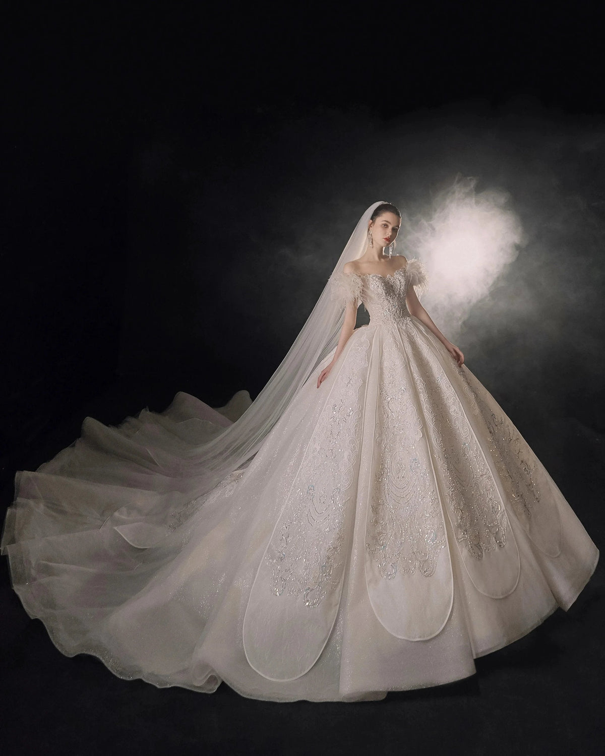 Luxurious Off-the-Shoulder Ball Gown Sweetheart Neckline Feather Trim Beaded Lace Wedding Dress with Glitter Train E-306 (ZD16884)