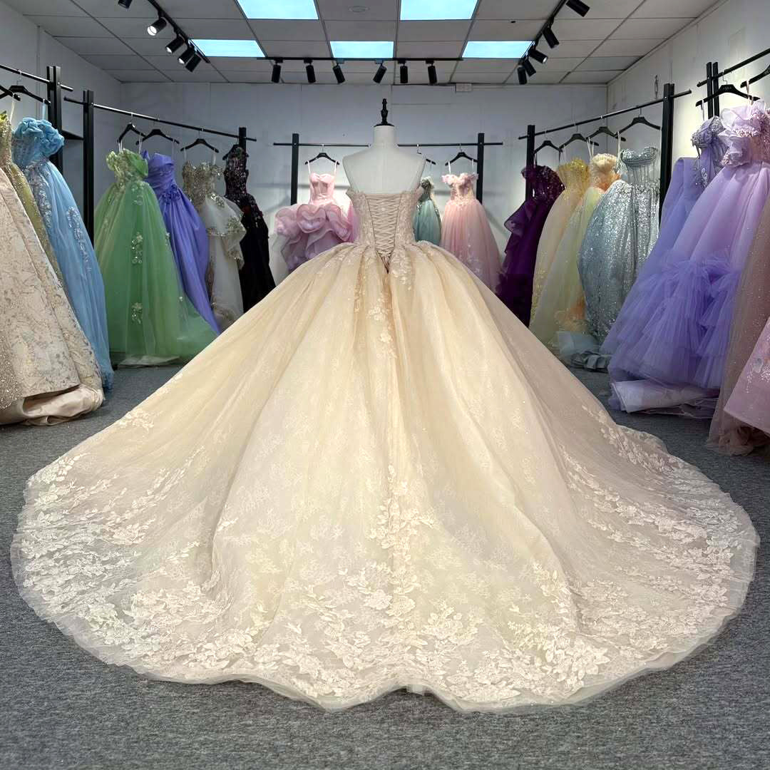 Gorgeous A Line Sweetheart Champagne Quinceanera Dress with Appliques Criss Cross Up - View 6 | VelvetHem