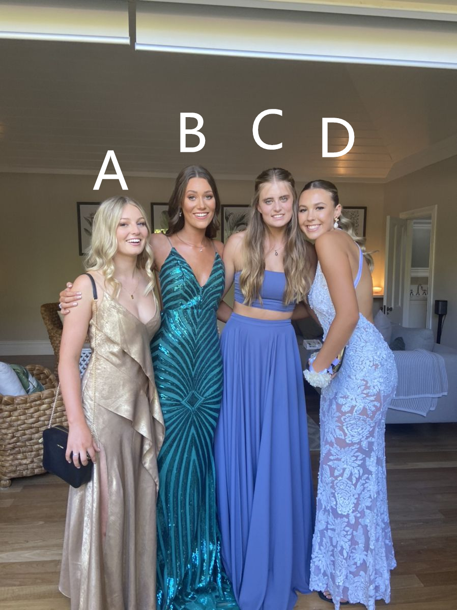 Different Style Prom Dress Evening Dress Gala Dress Y5473