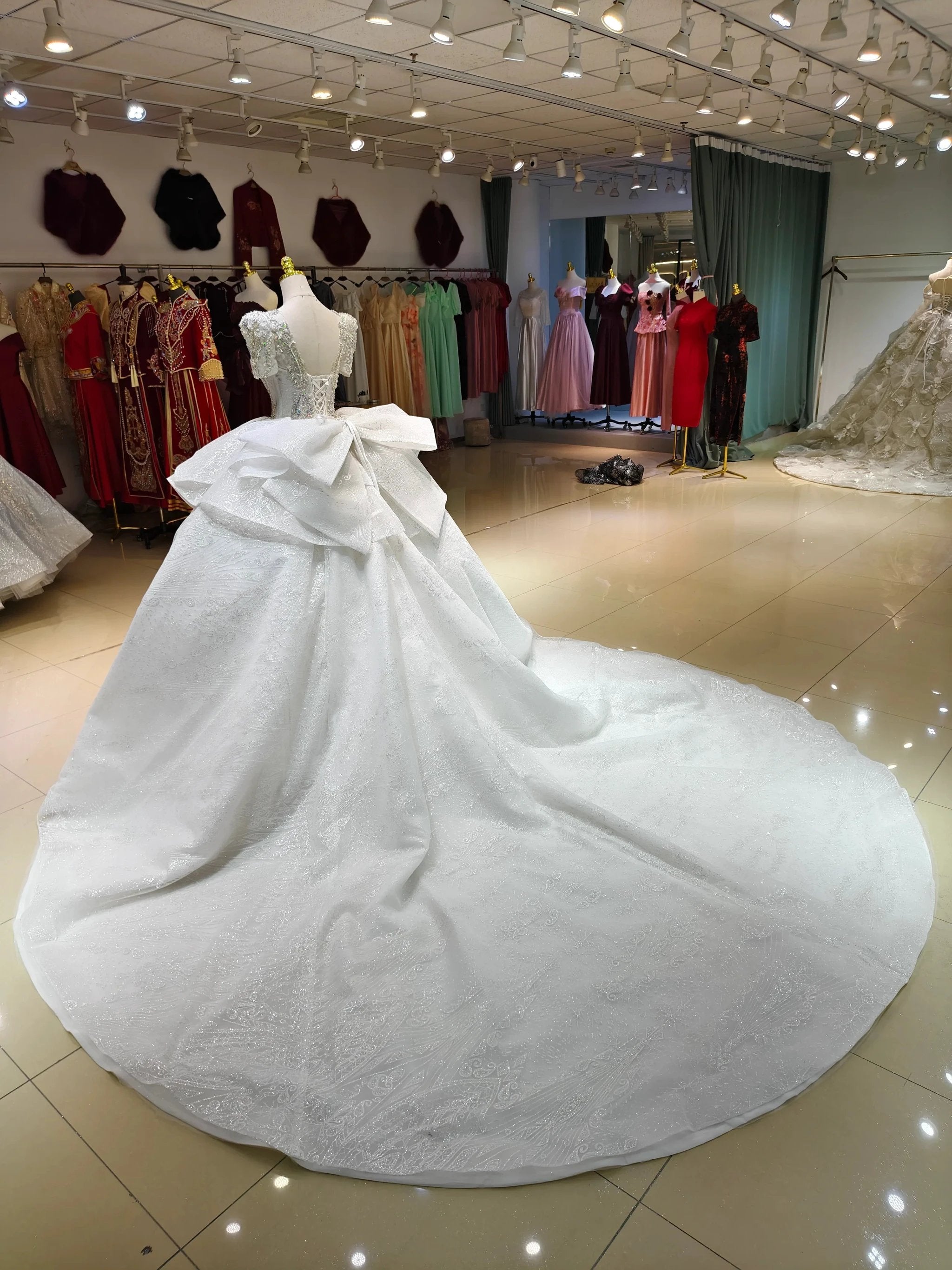 Silver Sparkle Cap-Sleeve Ballgown Beaded Bust & Bow Train (ZD16780)