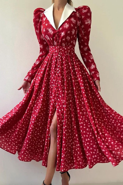 Contrast Collar Long Sleeve A Line Floral Dress