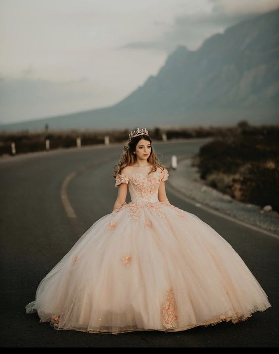 Chic Off The Shoulder Tulle Appliques Ball Gown Princess Dress Sweet 16 Dress Y399 - VelvetHem
