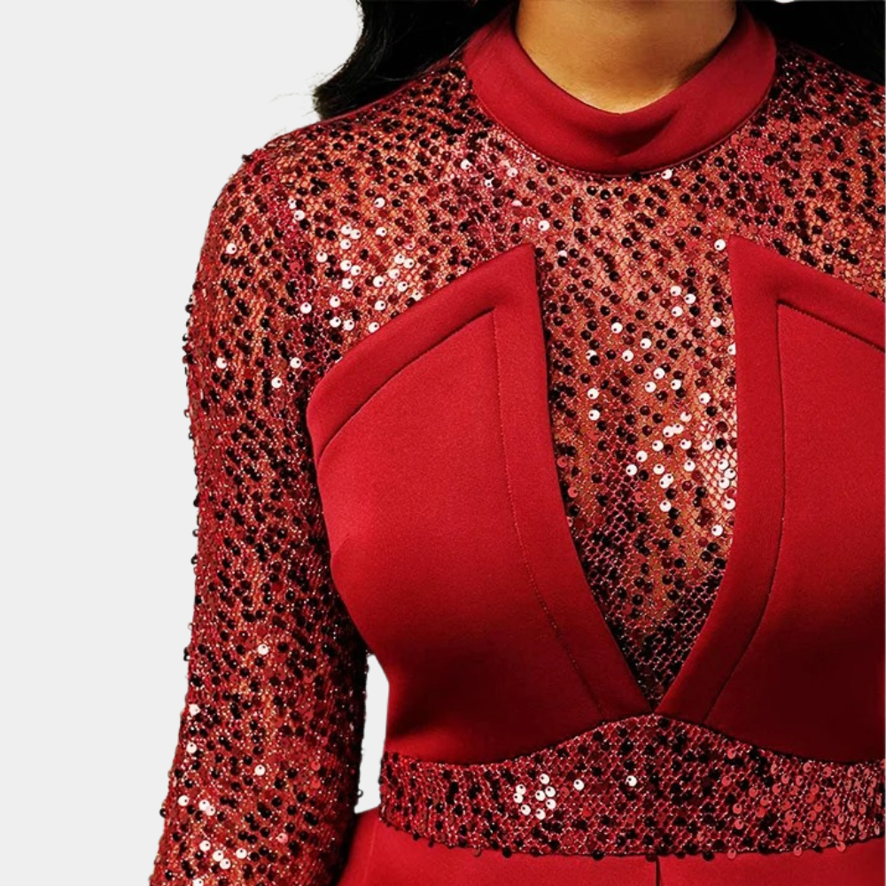 Paka Stylish Sequin Bodycon Dress for Women Special Occasion Look