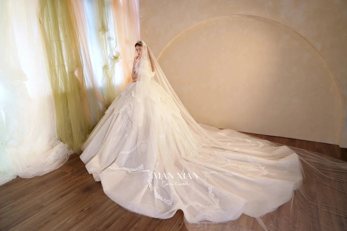 Luminous Ivory Sweetheart Glitter Tulle Ball Gown with Ruffled Sleeves, Pearl Embroidery & Lace Train (ZD16939)