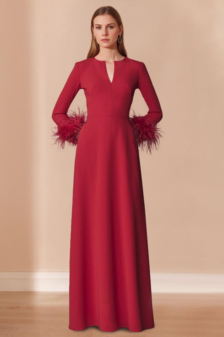Long V Neck A Line Mother of the Bride Dress with Long Sleeves and Feathers