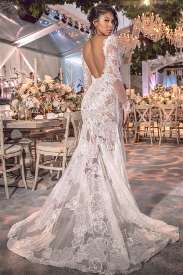 Long Sleeve V-neck Lace Beach Wedding Dresses | Open Back See Through Bridal Gown BC0249