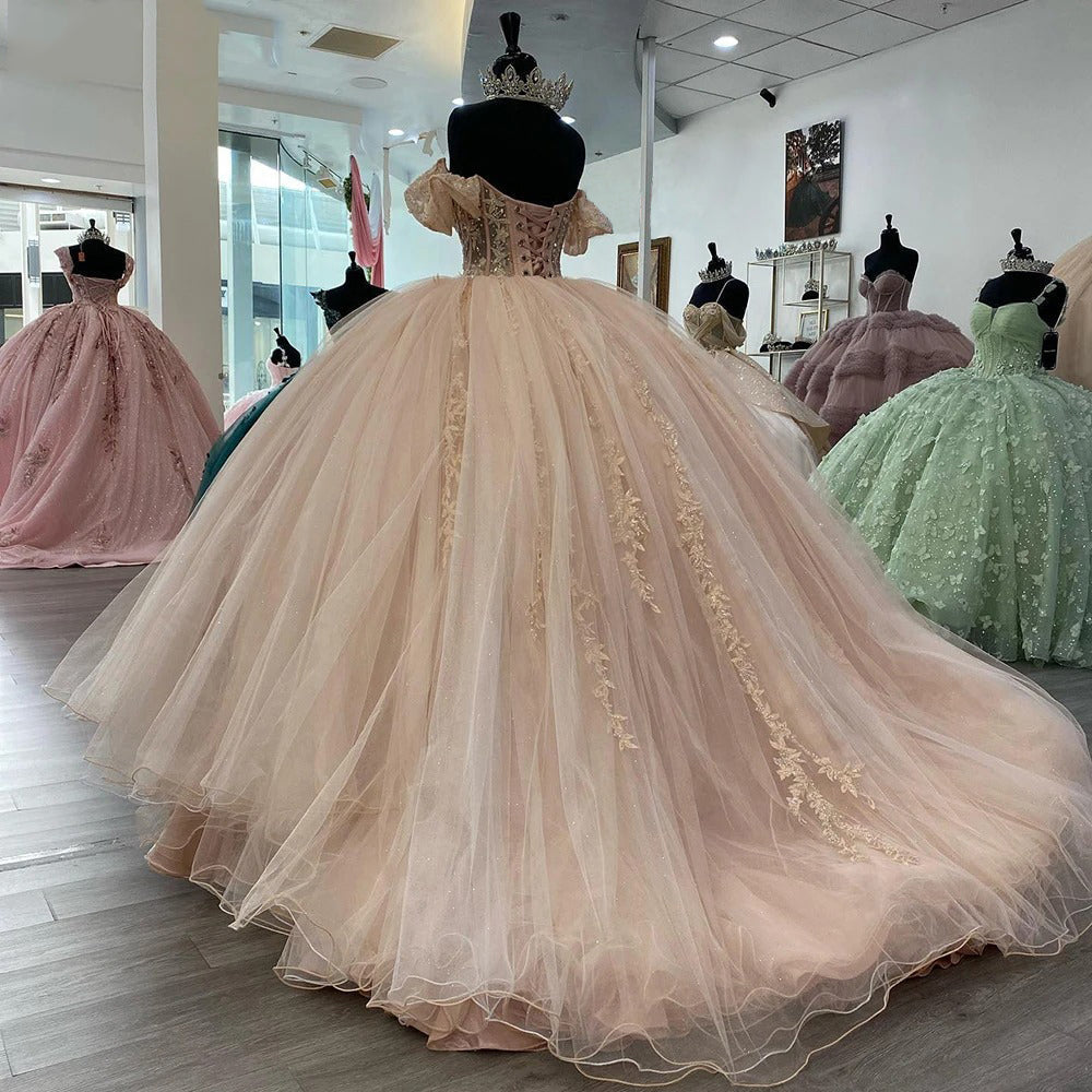 Modern Ball Gown Off Shoulder Sleeveless Lace Appliques Beaded Lace Up Sweep Train Blush Pink Tulle Quinceanera Dress Princess Gown For Sweet 16