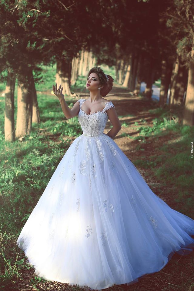 New Arrival Crystal Lace Bridal Gowns Sweep Train Tulle Wedding Dresses BA3840