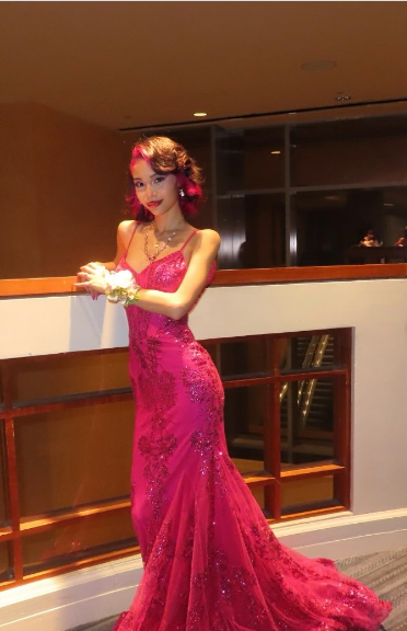 Gorgeous Rose Red Mermaid Trail Deep V Strap Sequined Long Prom Dress Evening Dress - View 3 | VelvetHem