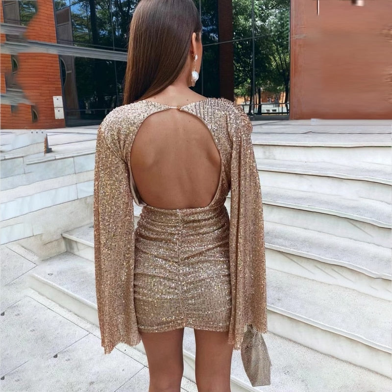Gabriela Effortless Glitter Dress with V Neck Chic Silhouette Collection