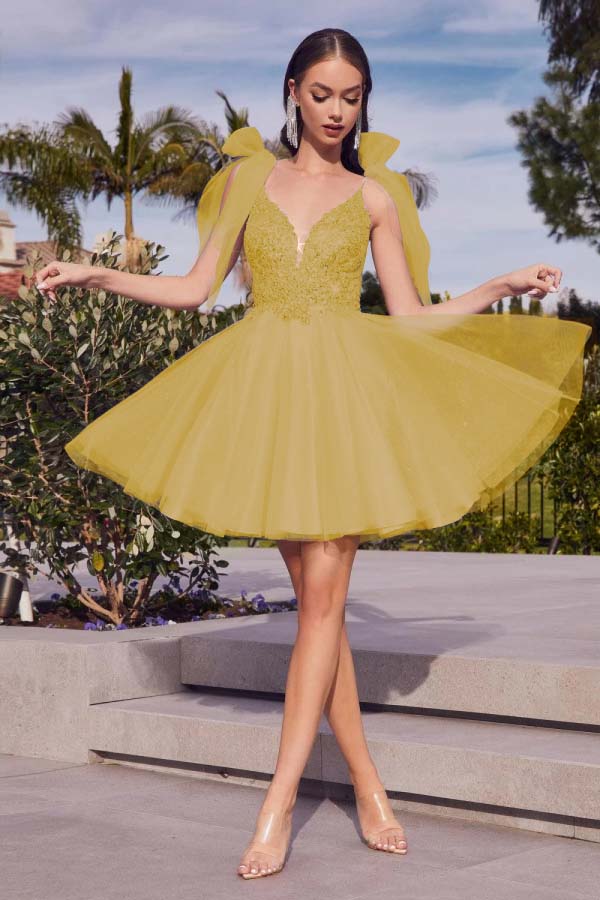 Spaghetti Strap Sleeveless Short Homecoming Dress With Appliques
