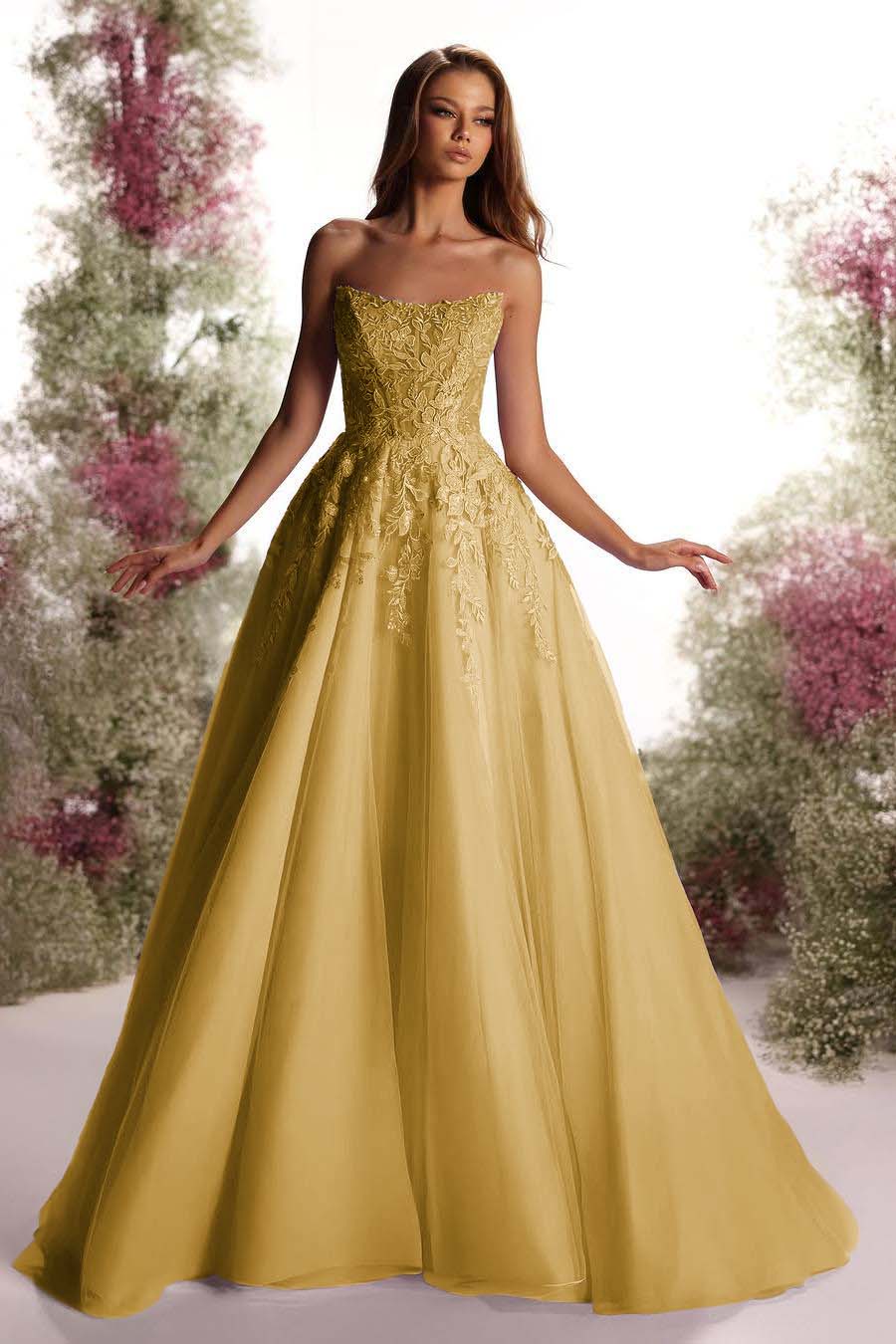 Tulle Strapless Sleeveless Long A Line Evening Formal Dress With Appliques