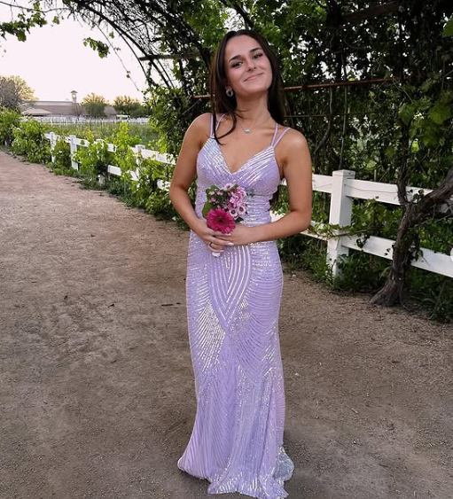 Luxury Lilac Spaghetti Straps Vneck Backless Evening Dress Mermaid Party Prom Dress - VelvetHem