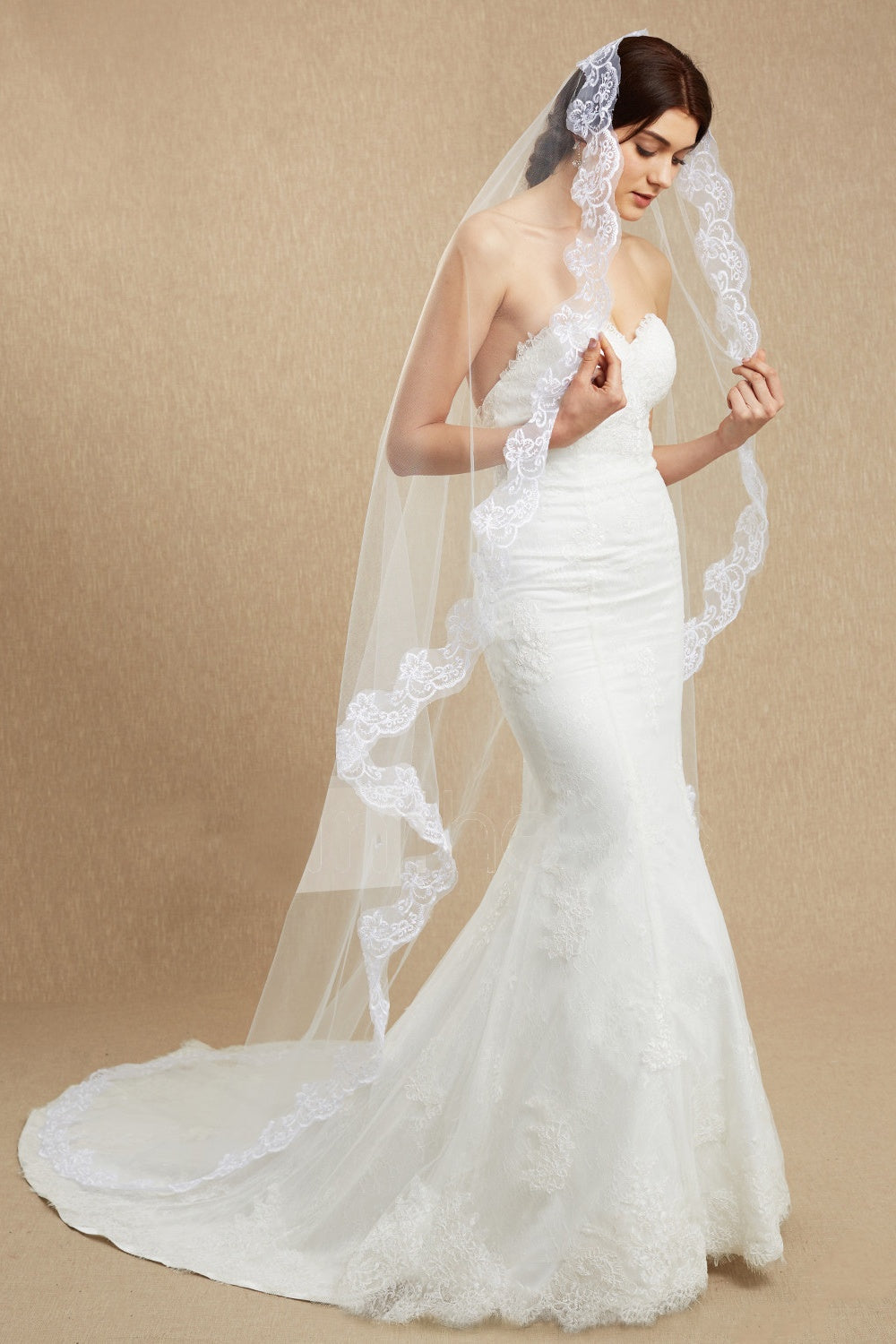 White Lace Wedding Veil