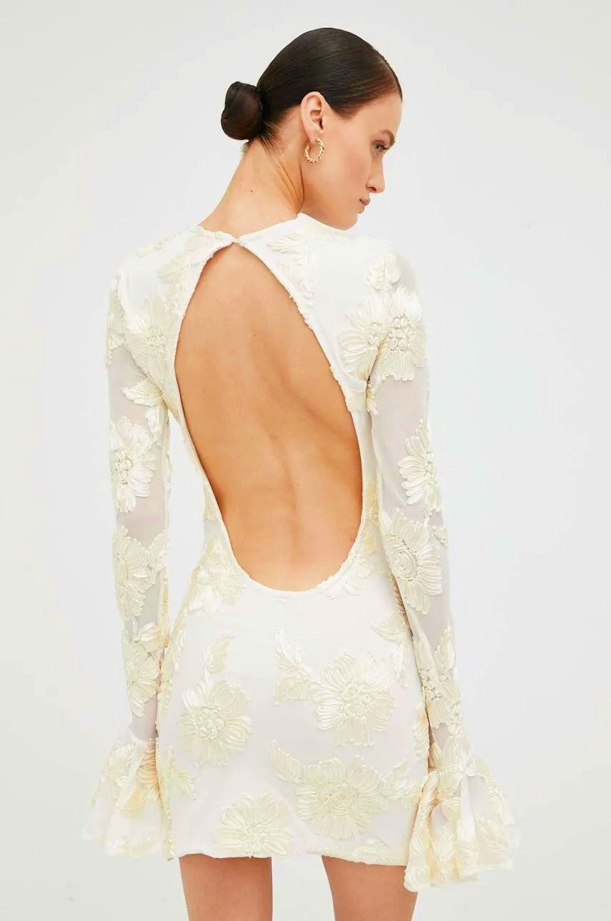 Norma Chic Backless Embroidered Mesh Mini Dress Silhouette Collection