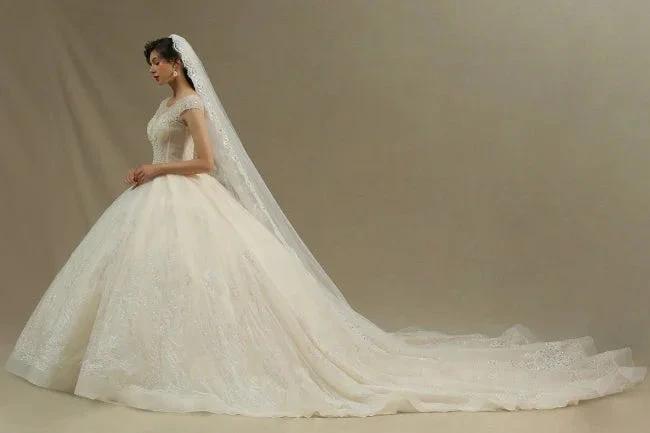 Designer Wedding Dresses | Wedding dresses maternity wear (ZD13787)