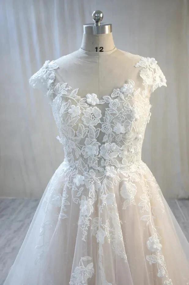 Elegant Long A-Line Bateau Backless Appliques Lace Tulle Wedding Dress (ZD15106)