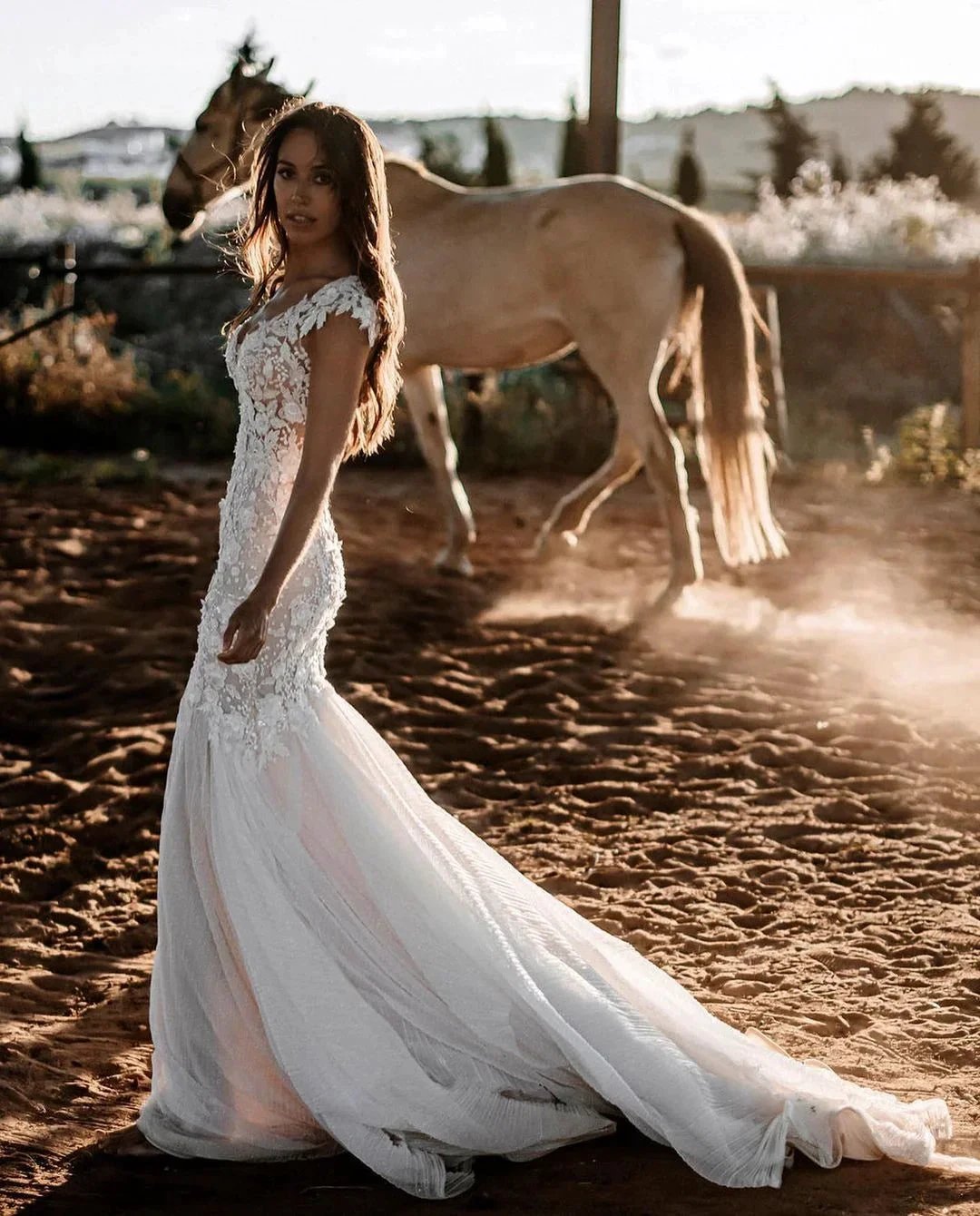 Elegant Long Mermaid Sweetheart Tulle Lace Backless Wedding Dress (ZD16685)