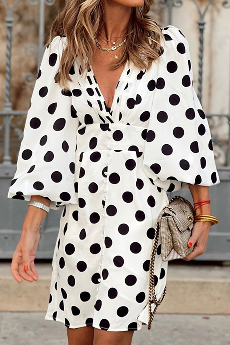 Well Tailored Dress with a Graceful Silhouette