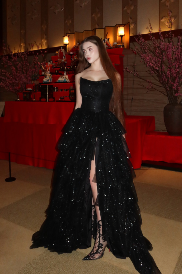 Multi-layer Shiny Elegant Dresses for Women,Luxury Party Dress,Black Prom Dress fg6756 - View 5 | VelvetHem
