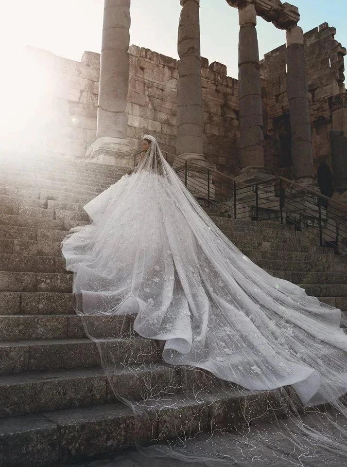 Gorgeous Beading Floral Bridal Wears Sheer Neck Long Sleeves Princess Wedding Dress (ZD16605)