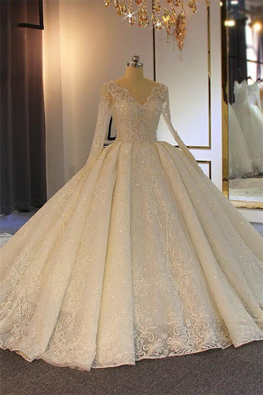 Long Sleeves Delicate Lace Wedding Dress Ball Gown (ZD17503) - VelvetHem