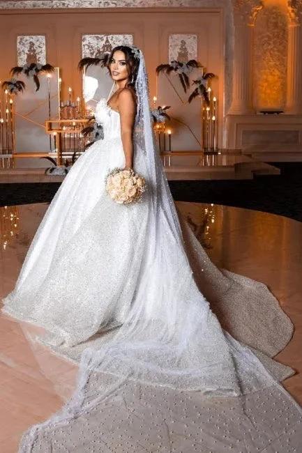 Modern Princess Sleeveless A-line Wedding Dresses With Glitter (ZD14533)