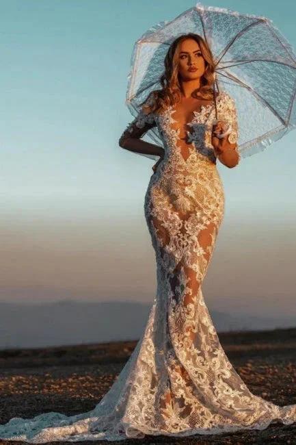 Sexy V-neck Mermaid Lace Wedding dresses with Sleeves (ZD14693)