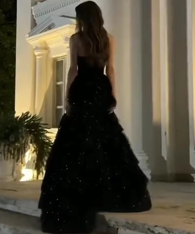 Multi-layer Shiny Elegant Dresses for Women,Luxury Party Dress,Black Prom Dress fg6756 - View 3 | VelvetHem