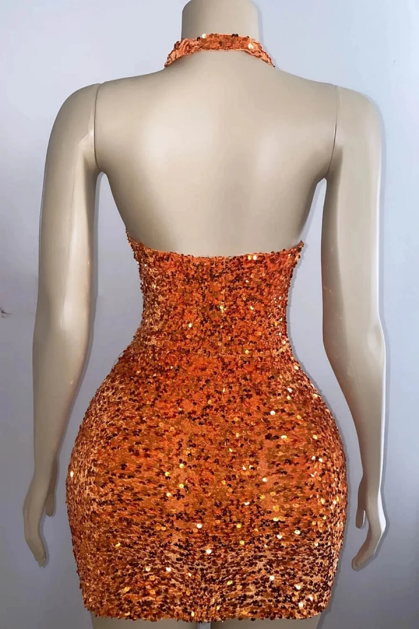 Charming Halter V-neck Backless Sequins Sparkly Homecoming Dress fg6197 - View 2 | VelvetHem