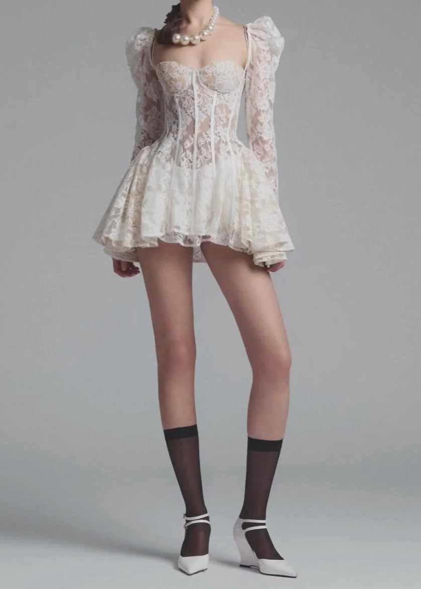 Juliette Sheer Lace Corset Mini Dress