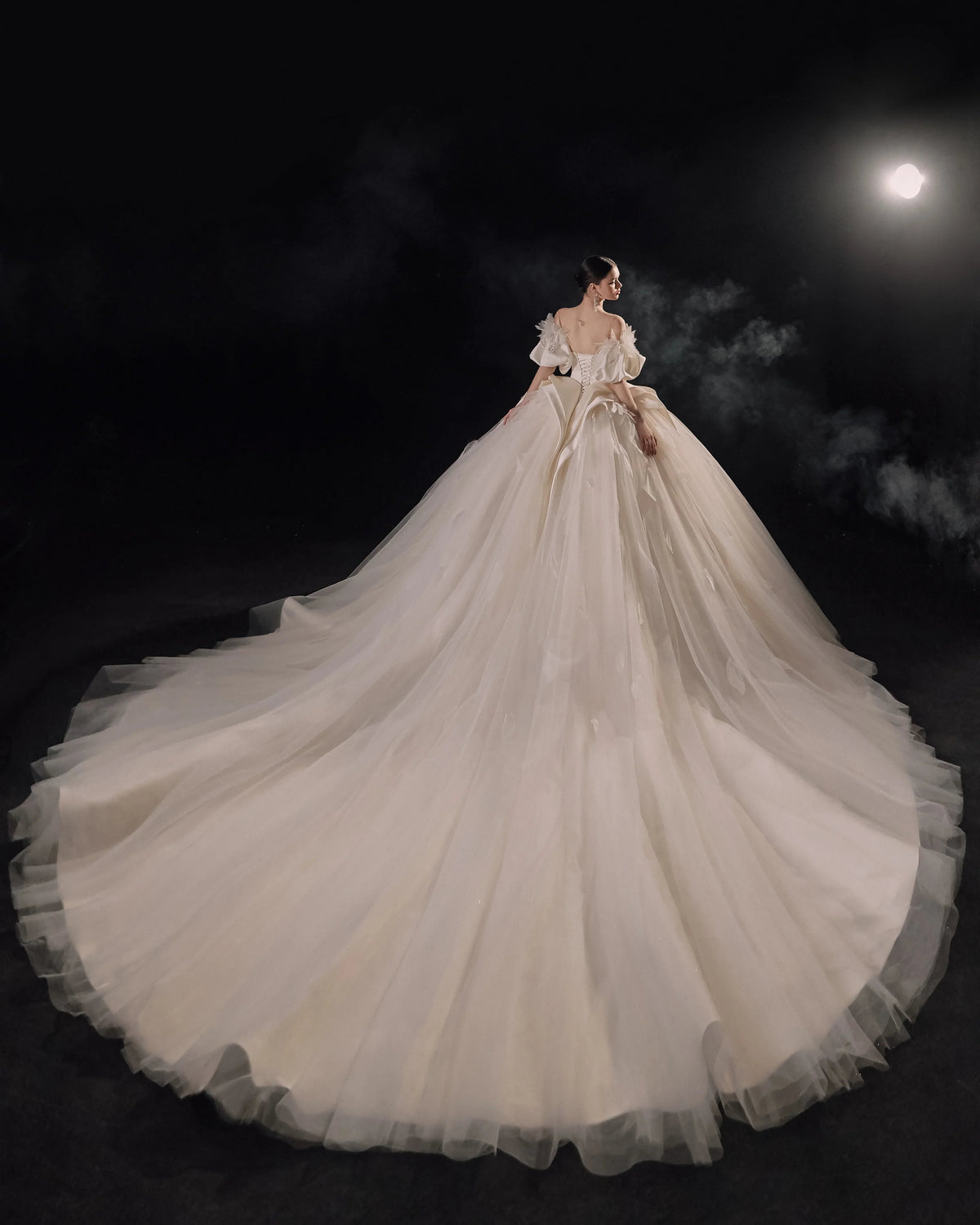 Lavish Sweetheart Ball Gown Satin Puff Sleeve Feather Trim Beaded Wedding Dress with Flowing Train E-302 (ZD16889)