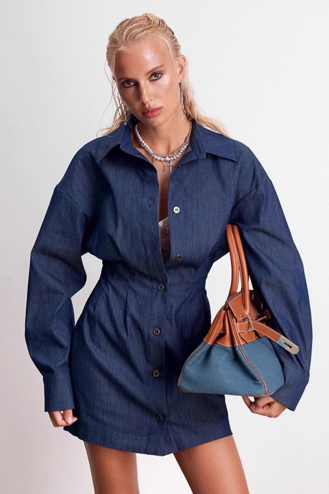 Denim Shirt A Line Mini Dress