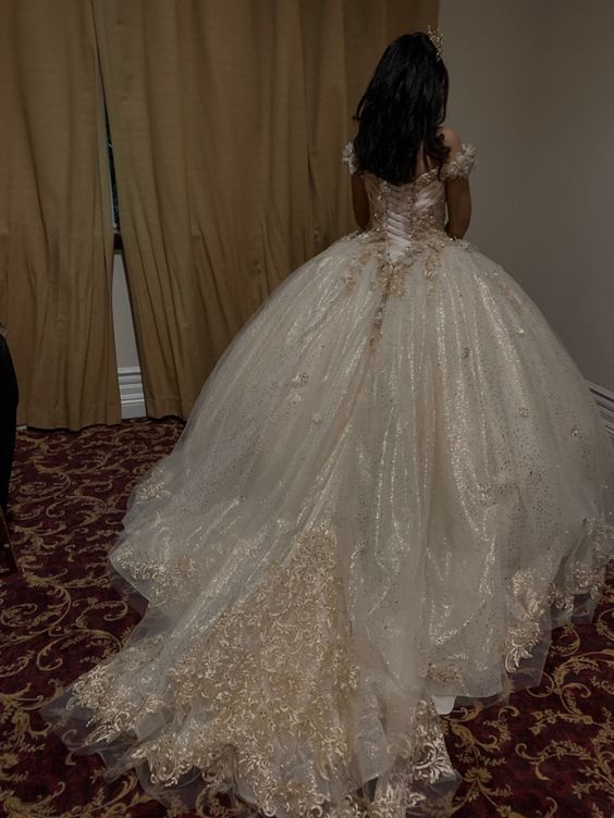 Glittering Quinceanera Dresses Lace Princess Dress Birthday Party Gowns Ball Gowns fg6576 - VelvetHem