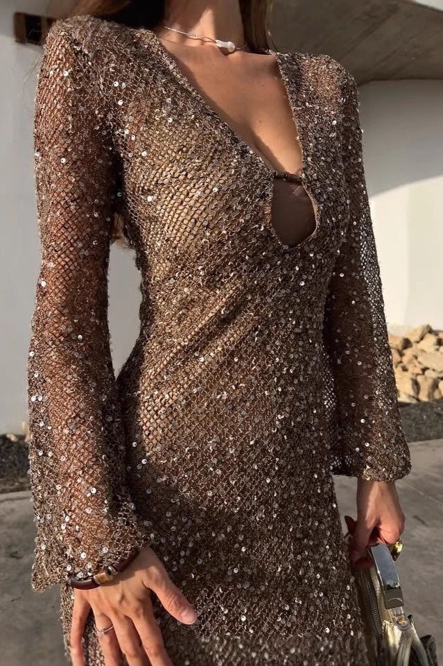 Elegant Sequin Crochet Bodycon Sequin Dress - VelvetHem