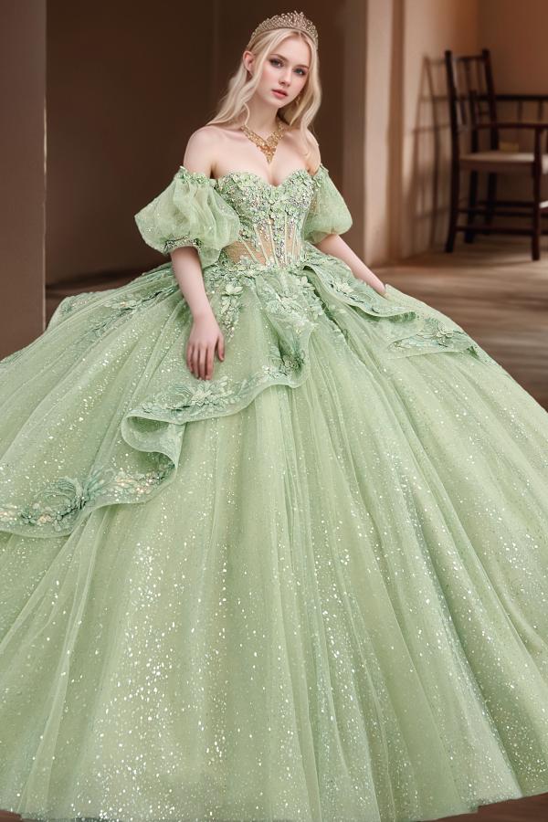 Ball Gown Off the Shoulder Quinceanera Dress Birthday Party Gown Sweet 16 Dress