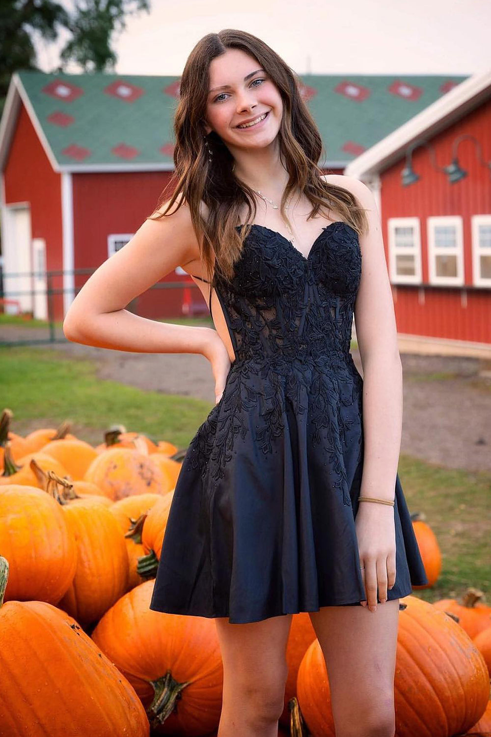 Black Homecoming Dresses A Line Backless Halter Short Cocktail Dresses with Lace
