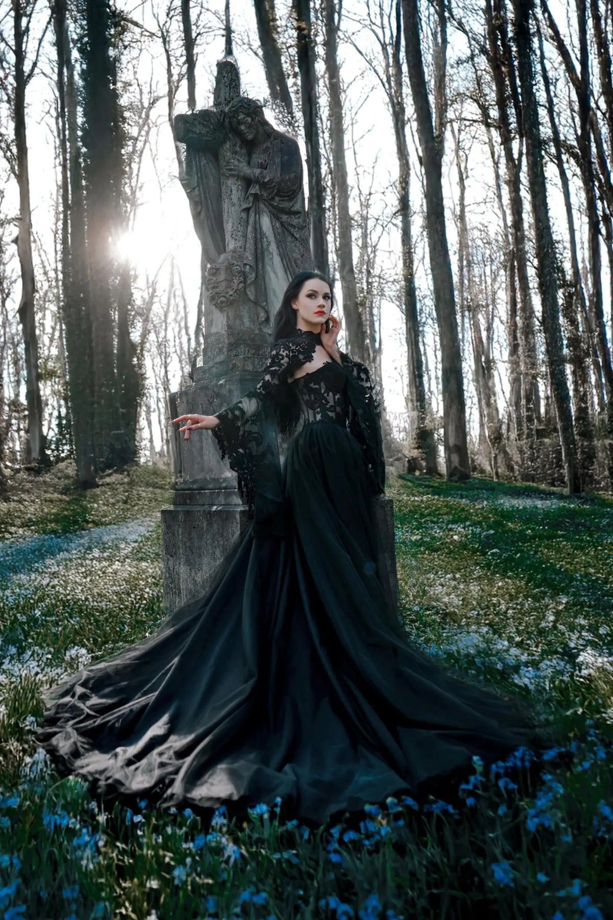 Black Luxury Gothic  Wedding Dress Sheer Lace Ball Gown  ZP029