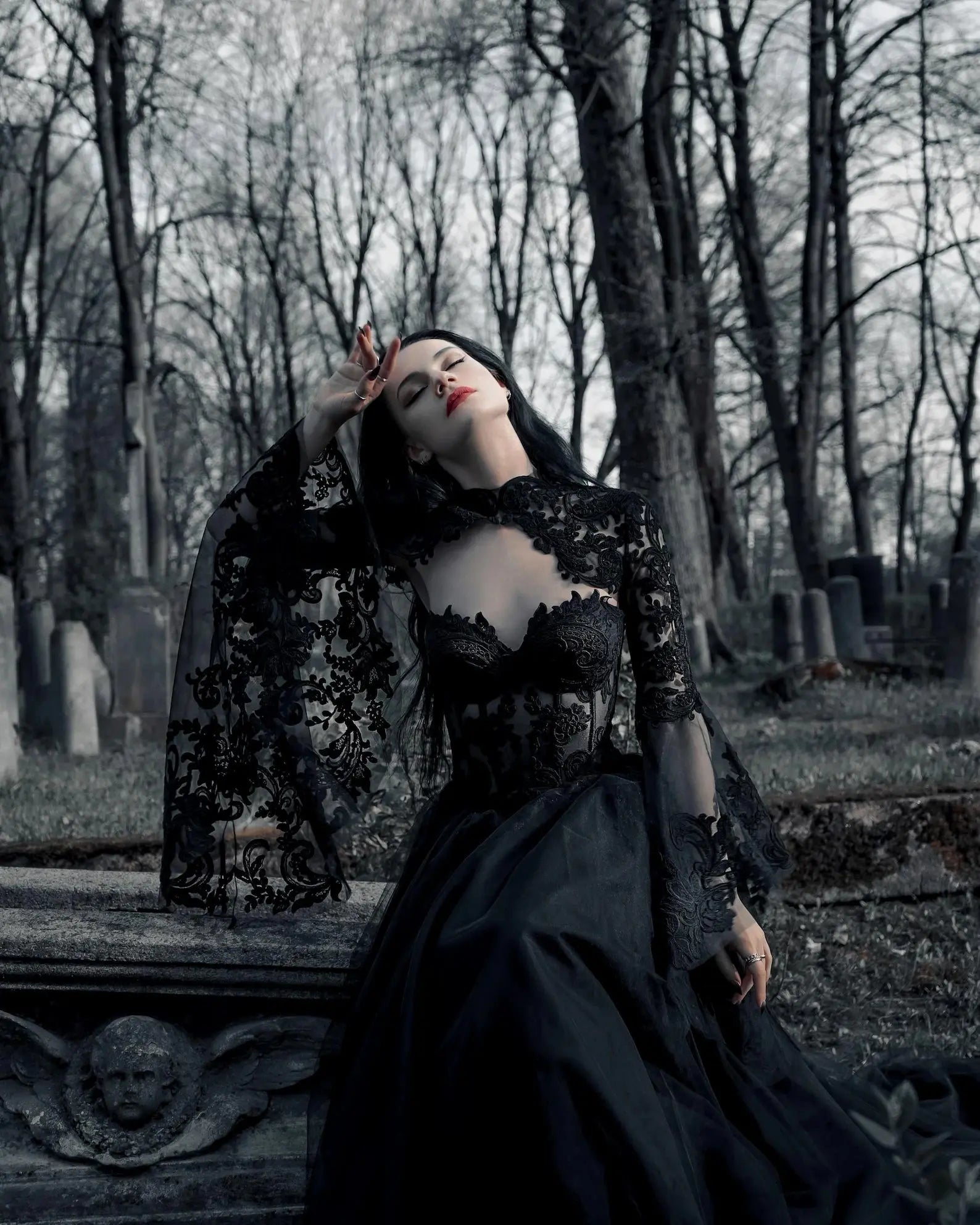 Black Luxury Gothic  Wedding Dress Sheer Lace Ball Gown  ZP029