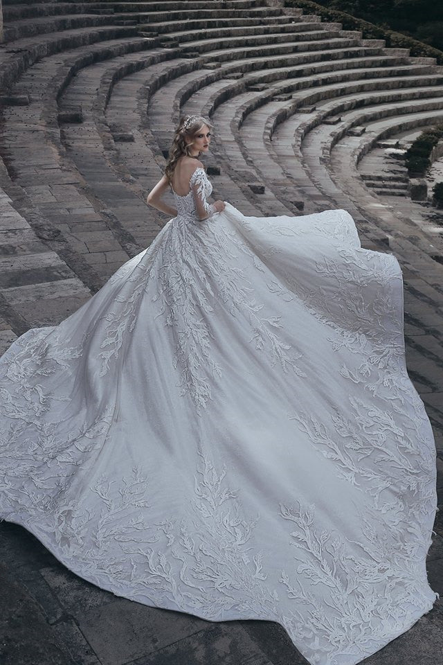 Elegant Long Sleeves Ball Wedding Dresses |  Lace Sexy Bridal Gowns
