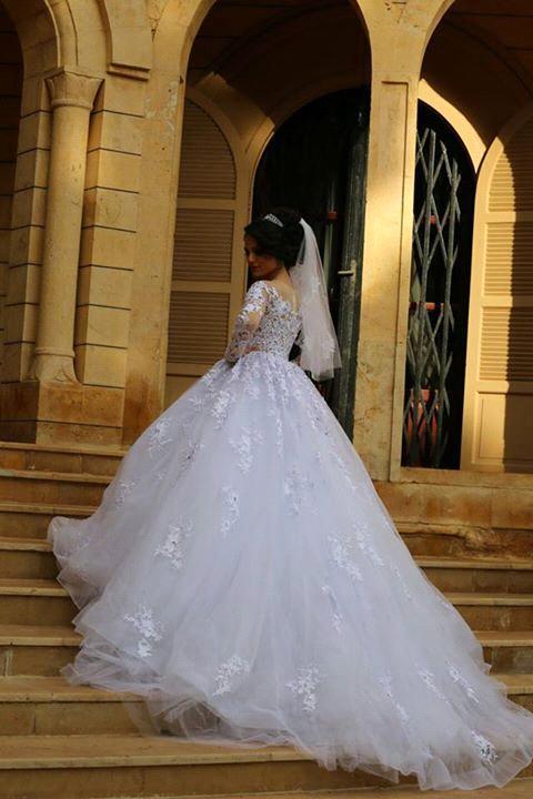 Gorgeous Long Sleeve Lace Princess Dress A-Line Tulle  Wedding Dress WE0011