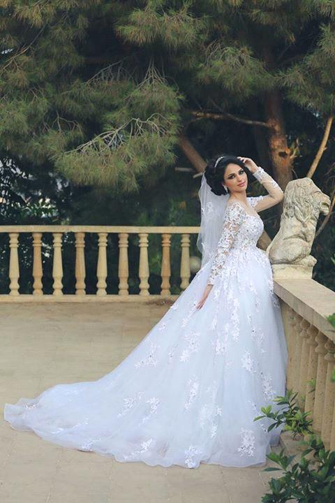 Gorgeous Long Sleeve Lace Princess Dress A-Line Tulle  Wedding Dress WE0011