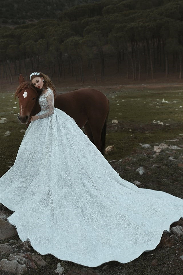 High Neck Appliques Sparkly Beads Sequins Wedding Dresses  | Long Sleeve Princess Ball Gown Bridal Dresses Luxury