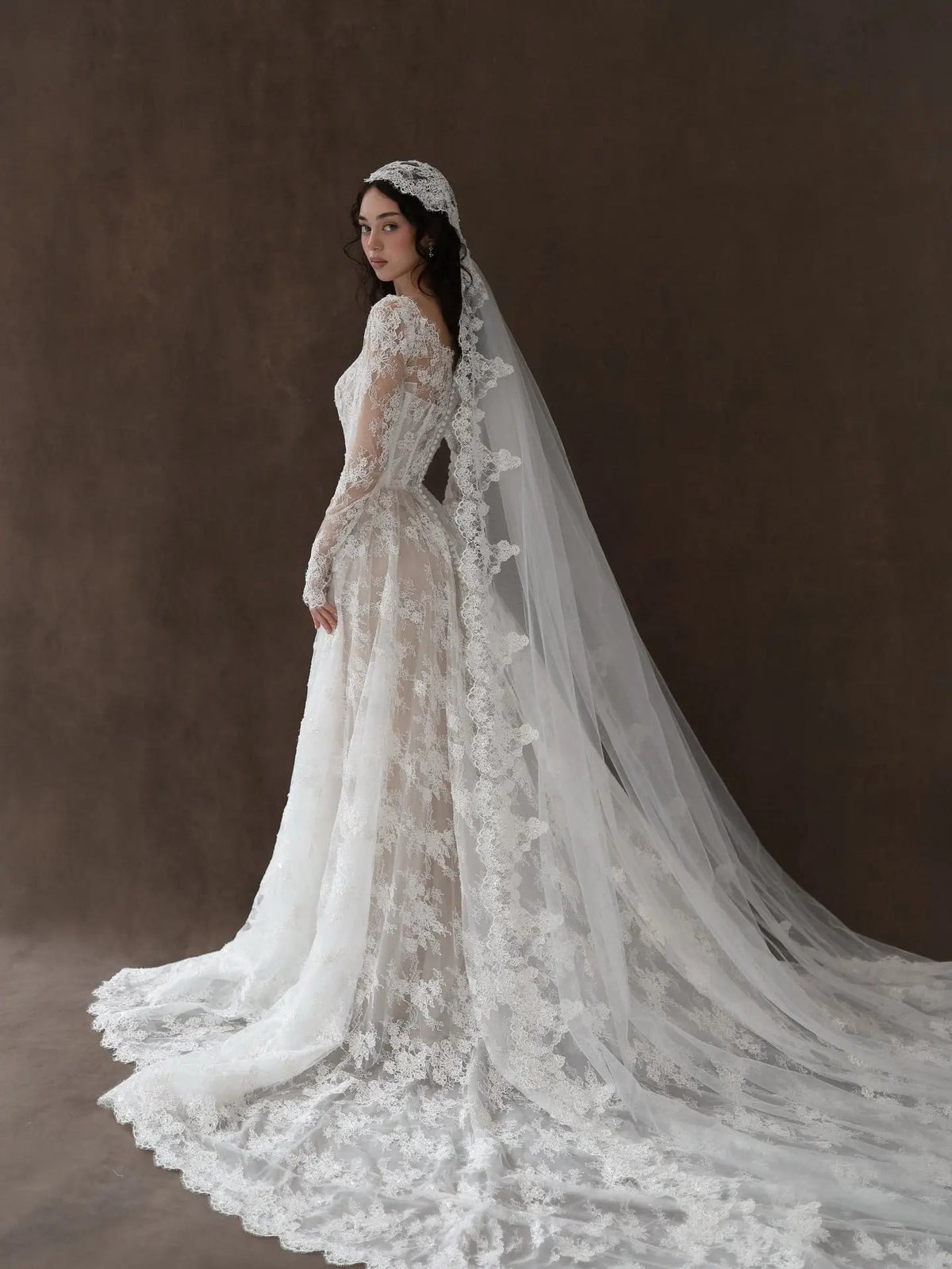Whimsical Ivory Lace V-Neck Long Sleeve Wedding Dress with Veil ZP106