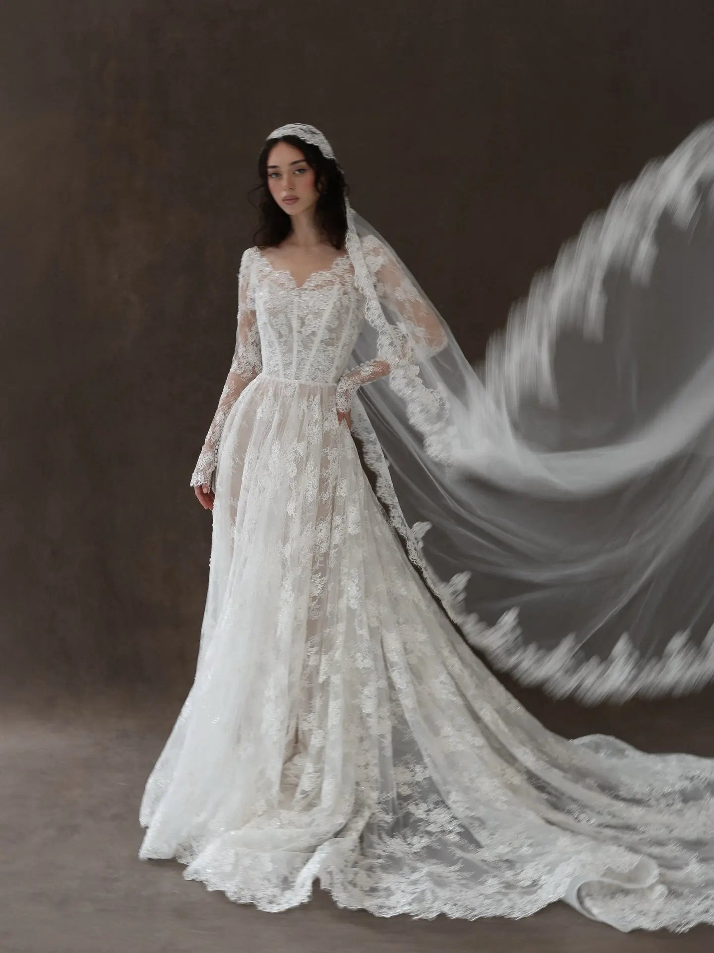 Whimsical Ivory Lace V-Neck Long Sleeve Wedding Dress with Veil ZP106