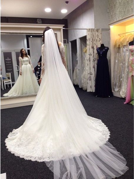 Lace Vestidos De Noiva Plus Size Wedding Dresses Long Sleeve Scoop Neck Bridal Gown with White Veil