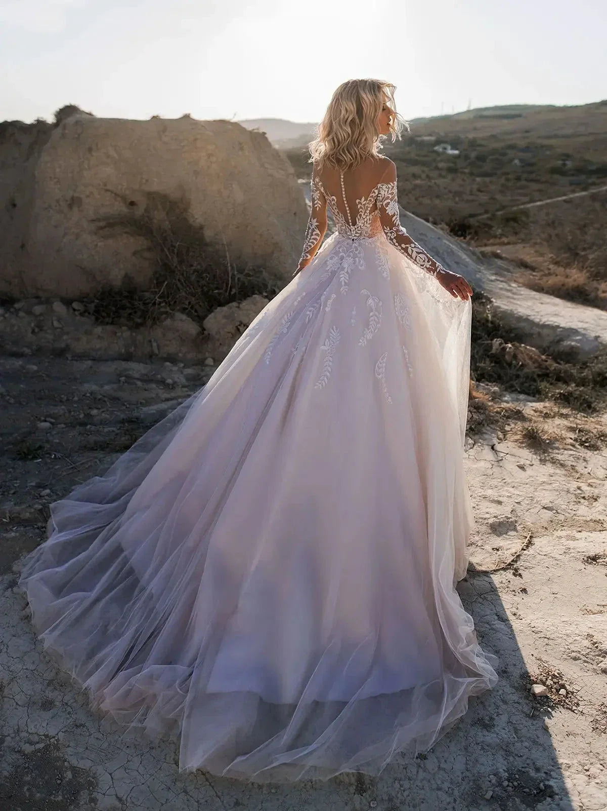 Luxury Lace Long Sleeves Wedding Dresses Sexy Backless Vestidos De Novia Appliques Vestido De Noiva (ZD14070)