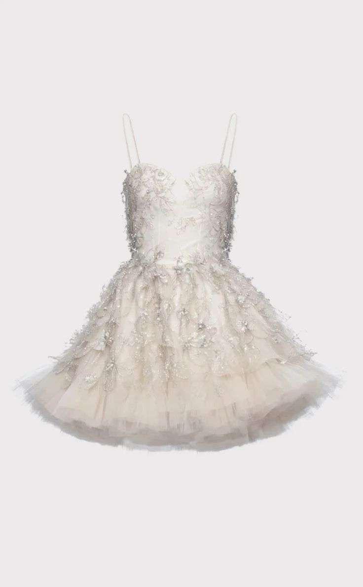 Dreamy Light Beige Spaghetti Strap Embroidered Fluffy Mesh Birthday Party Homecoming Dress - View 2 | VelvetHem