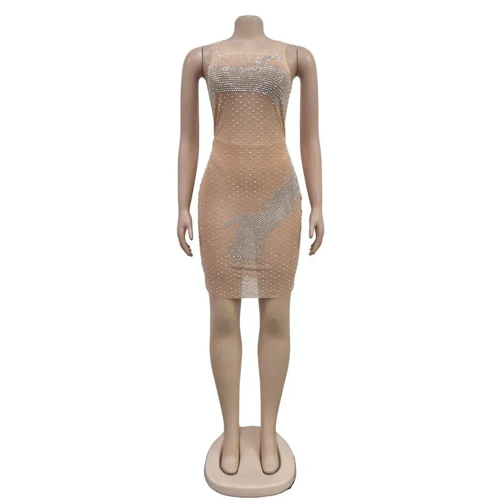 Mesh Rhinestone Round Neck Sleeveless Mini Dress