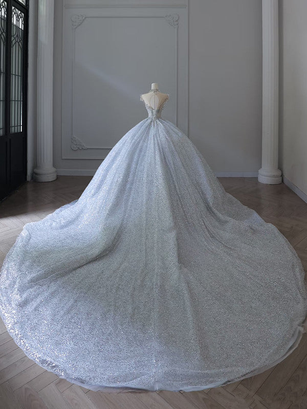Fairytale Ball Gown Strapless Neckline Sequin Light Sky Blue Long Wedding Dresses Brides Dress